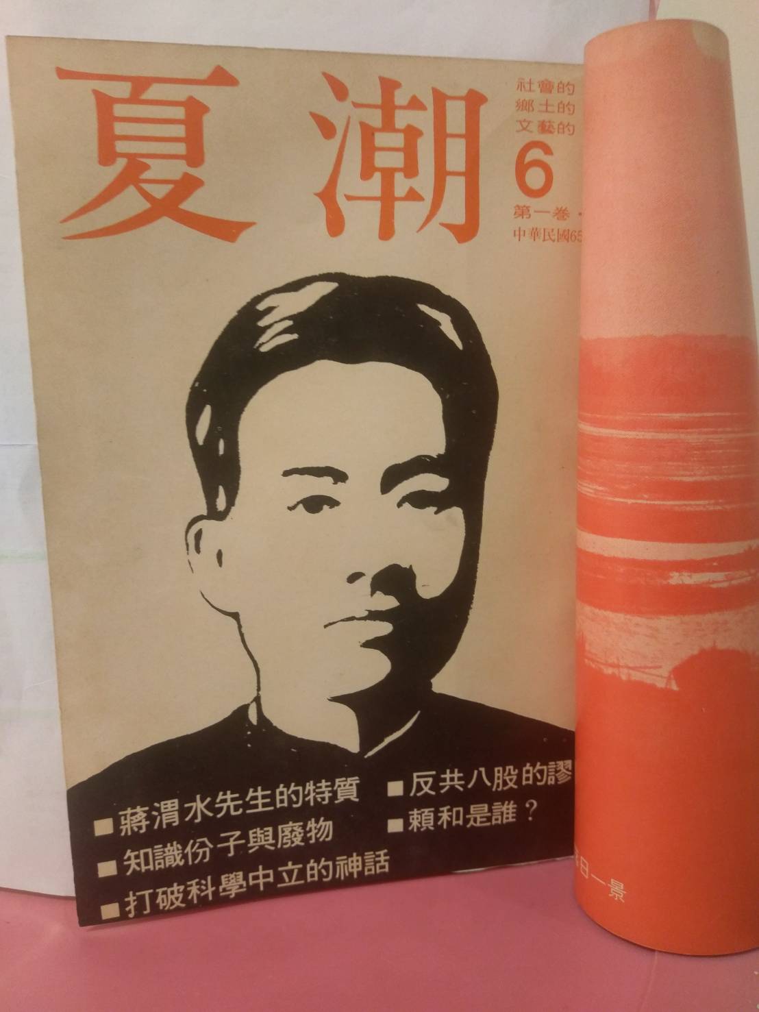 蔣渭水的台灣民眾黨再起？