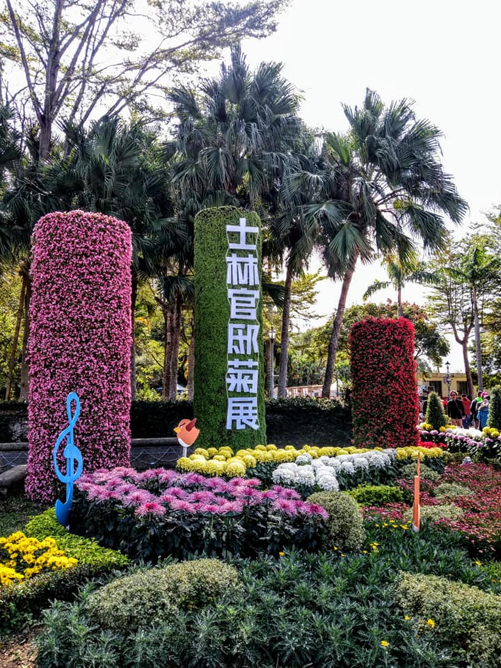 看士林官邸菊花展