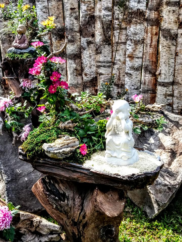 士林官邸菊花展