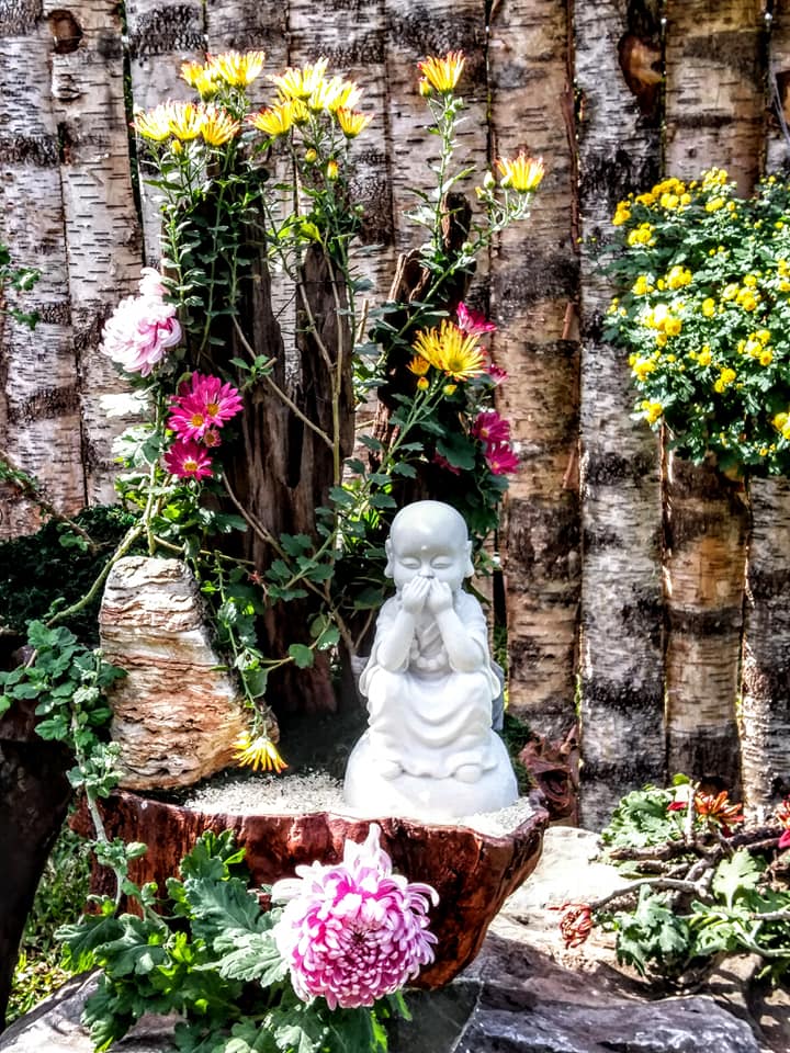 士林官邸菊花展