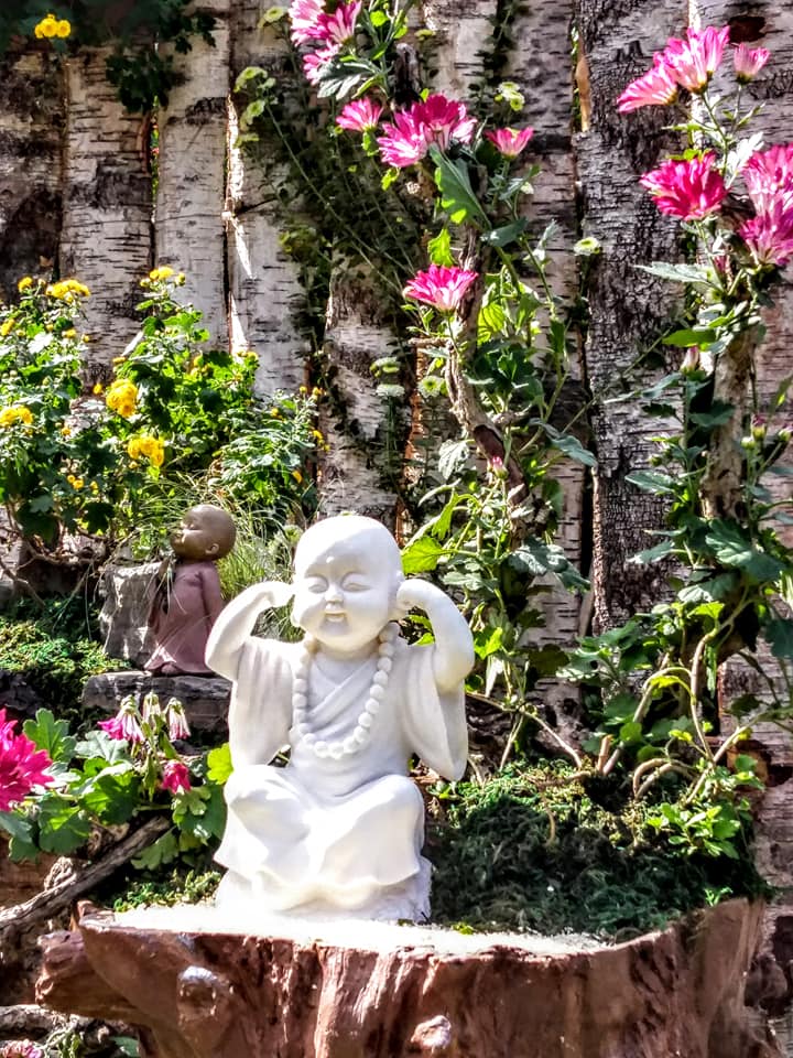 士林官邸菊花展