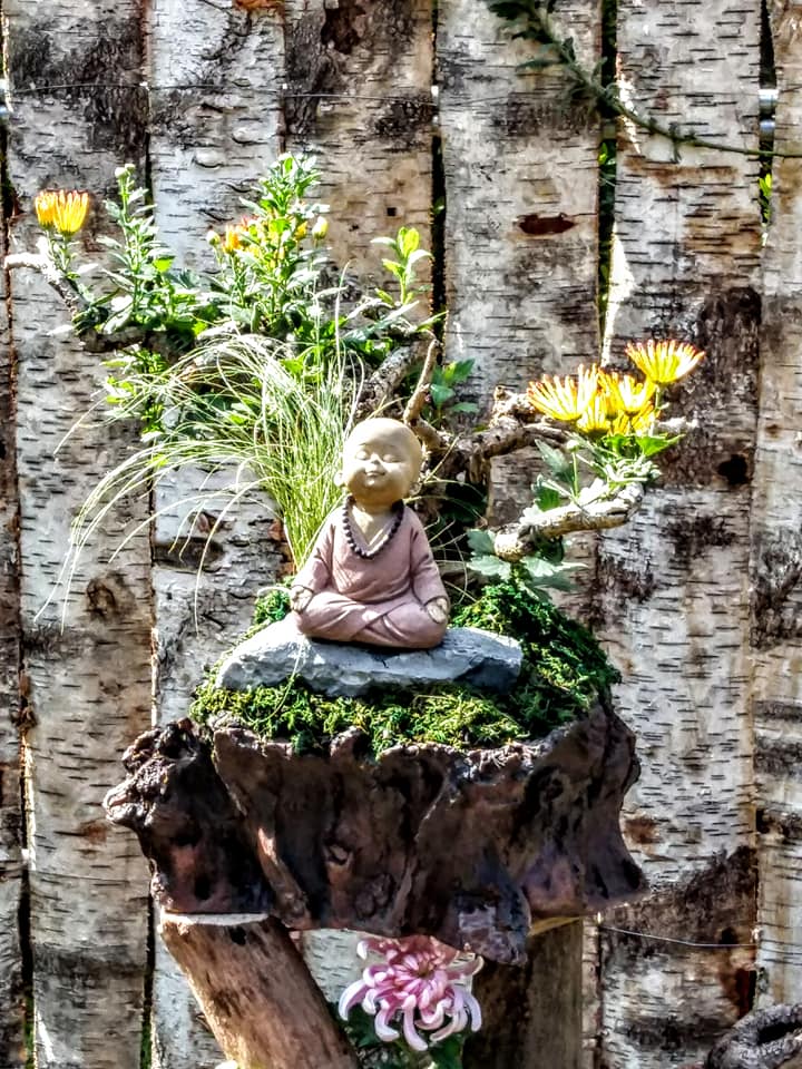 士林官邸菊花展