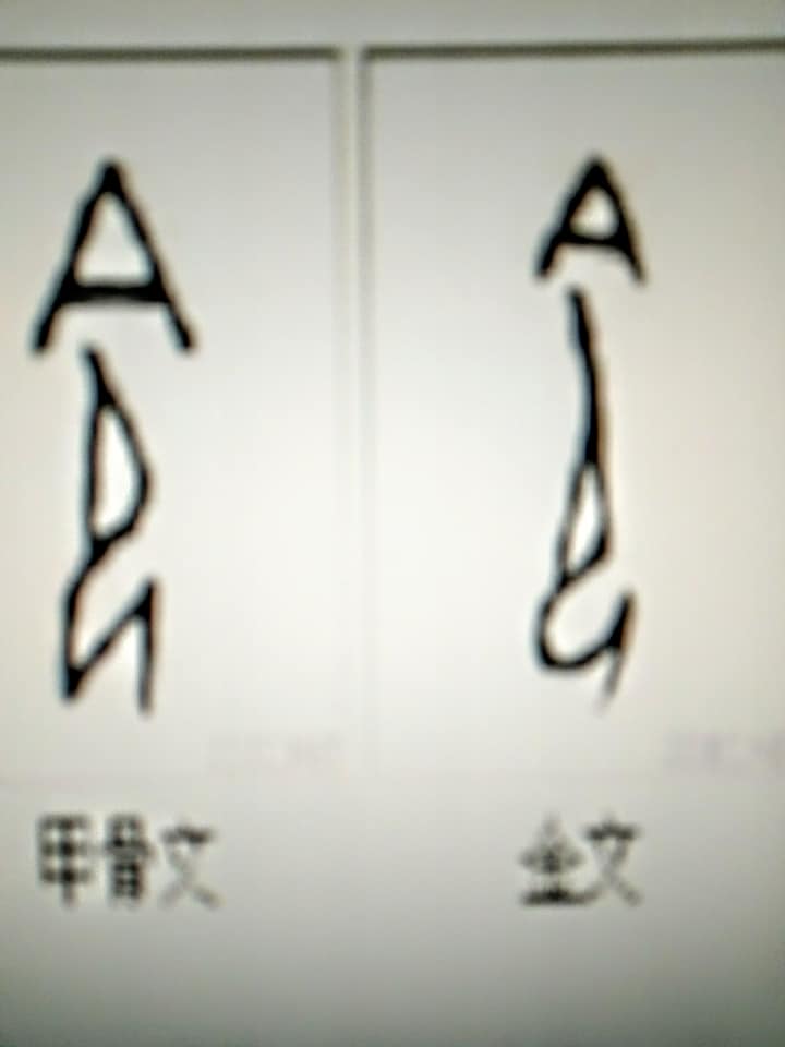 日本年度漢字代表