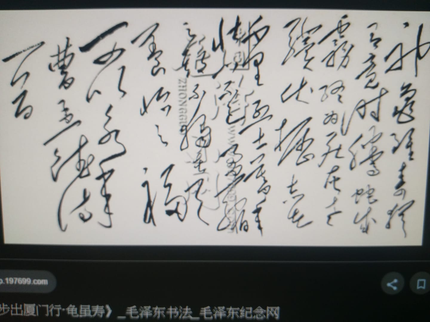 再補上google找到的老毛以