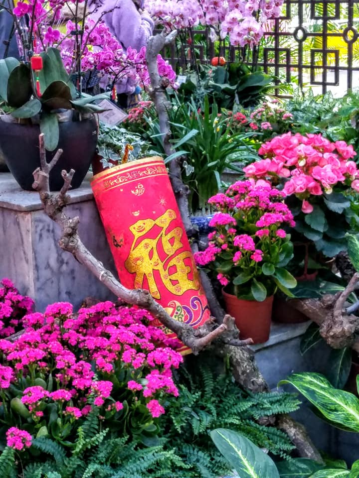 殘梅結子順時圓滿