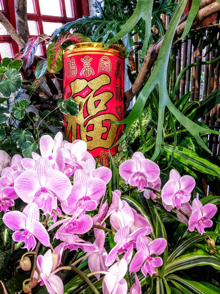 殘梅結子順時圓滿