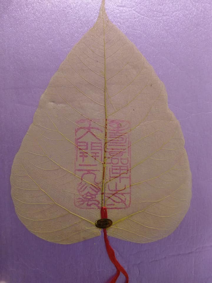 菩提本無樹卻是替身多