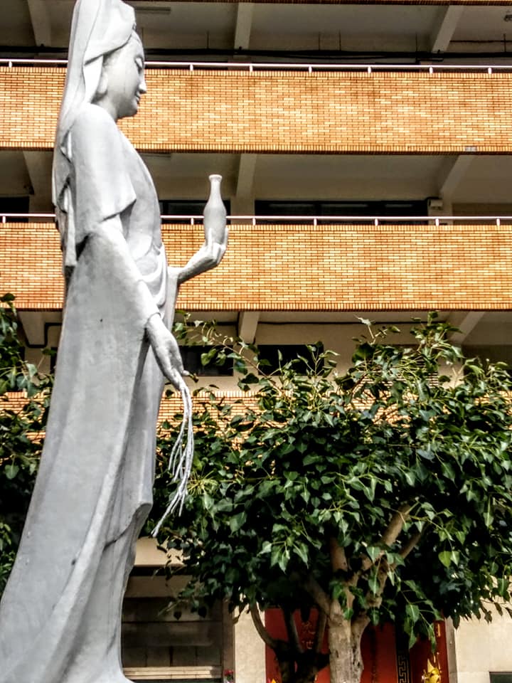 菩提本無樹卻是替身多