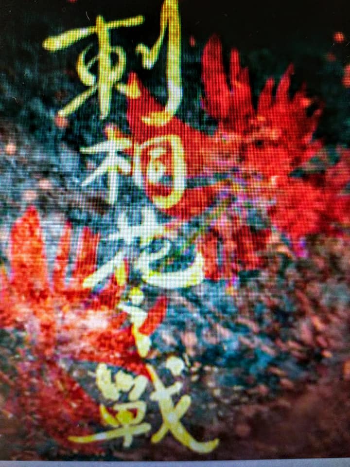 刺桐綠葉拱紅花