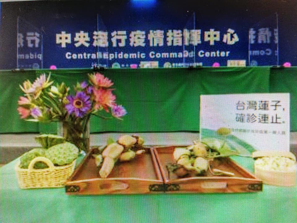 與陳時中聊聊蓮子