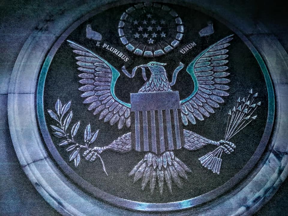 莫非白頭鵰變凸鷹