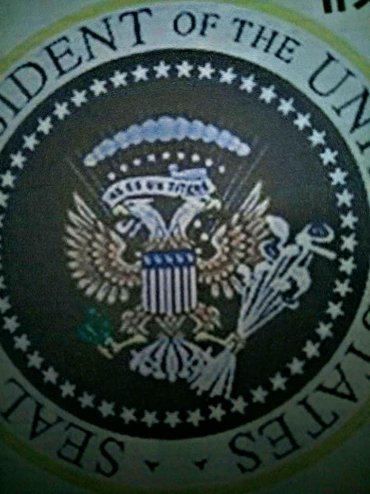 莫非白頭鵰變凸鷹