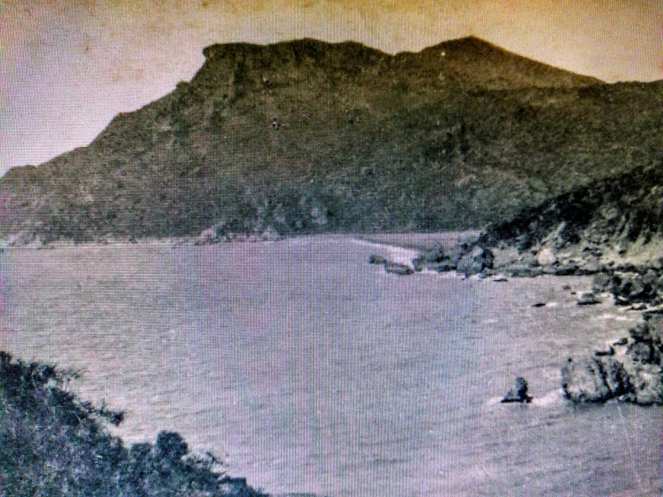 打狗打猫攏是誤會一場