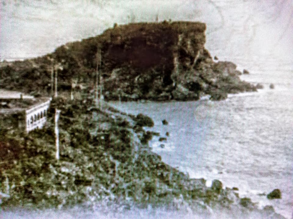 打狗打猫攏是誤會一場