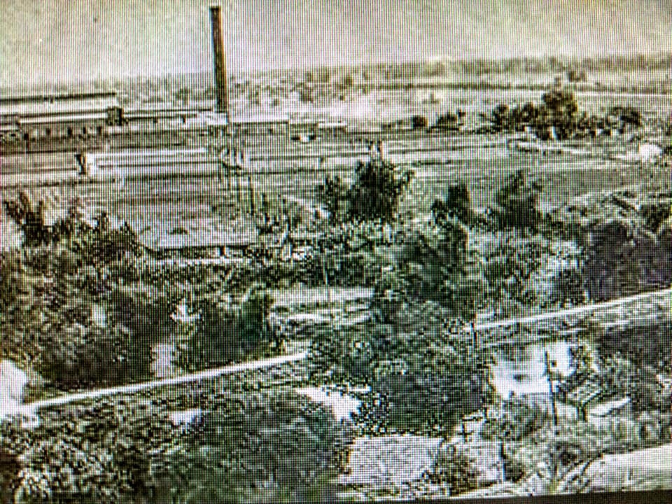 打狗打猫攏是誤會一場