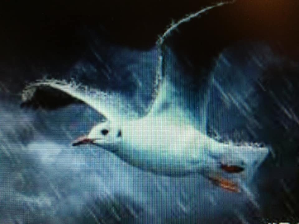 讓暴風雨來得更猛烈