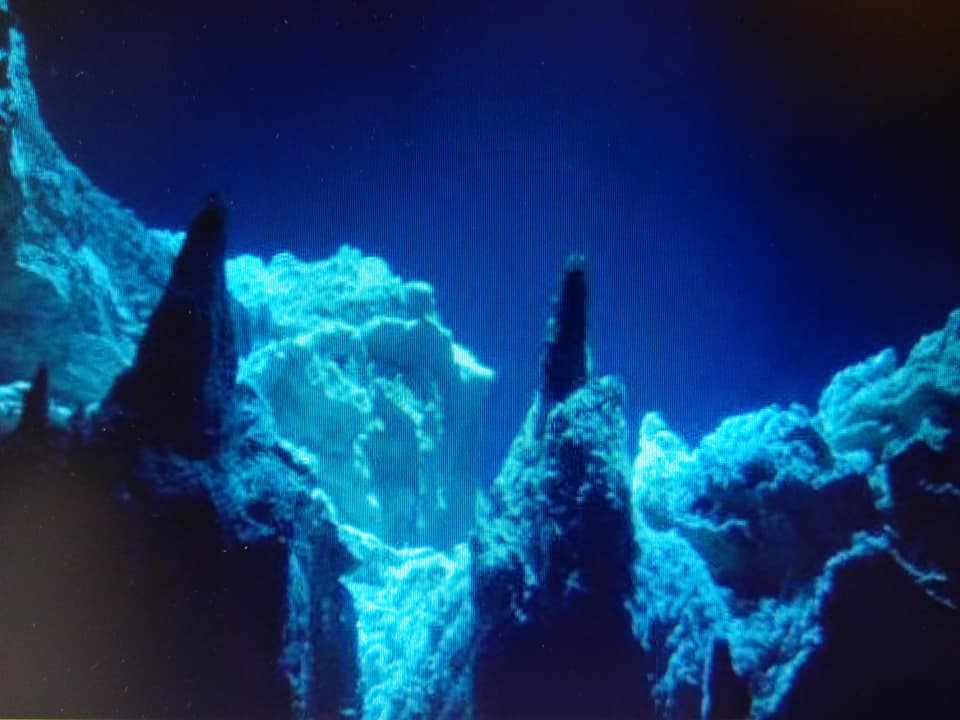 “上天攬月 下洋捉鱉”