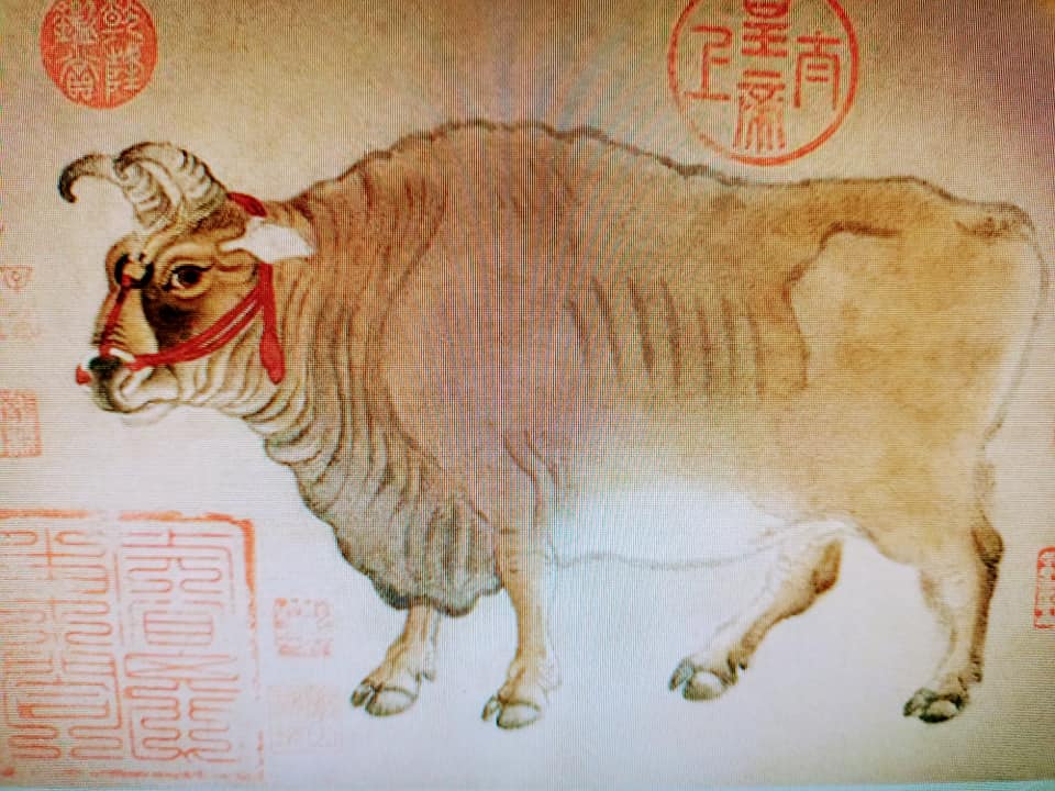 誰能“牛轉乾坤”