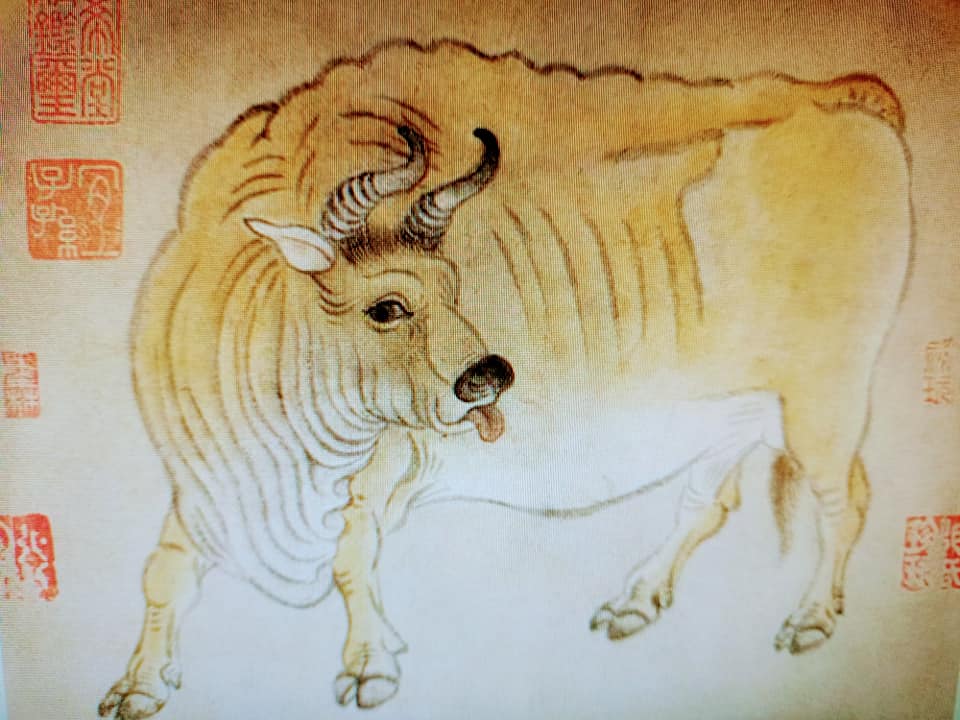 誰能“牛轉乾坤”