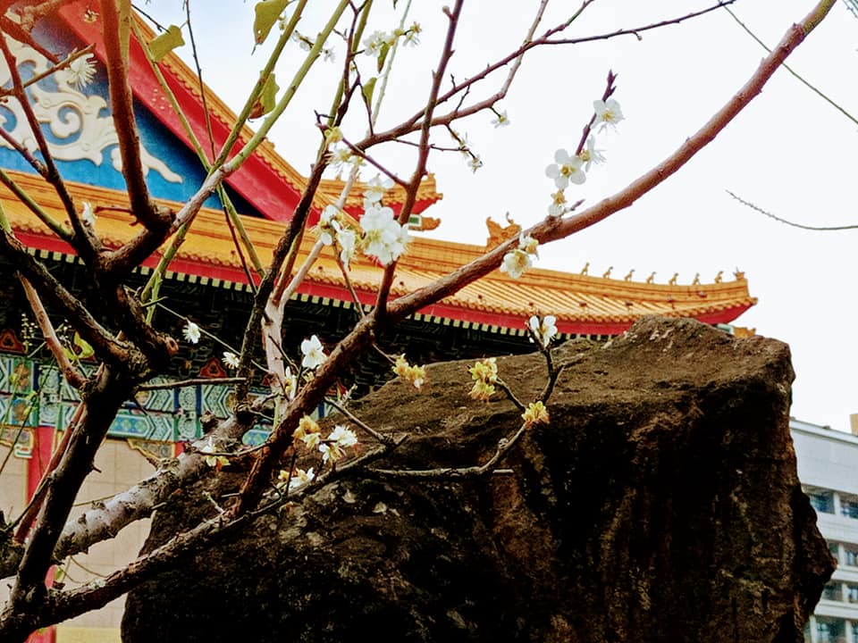 賞梅的四貴與五福