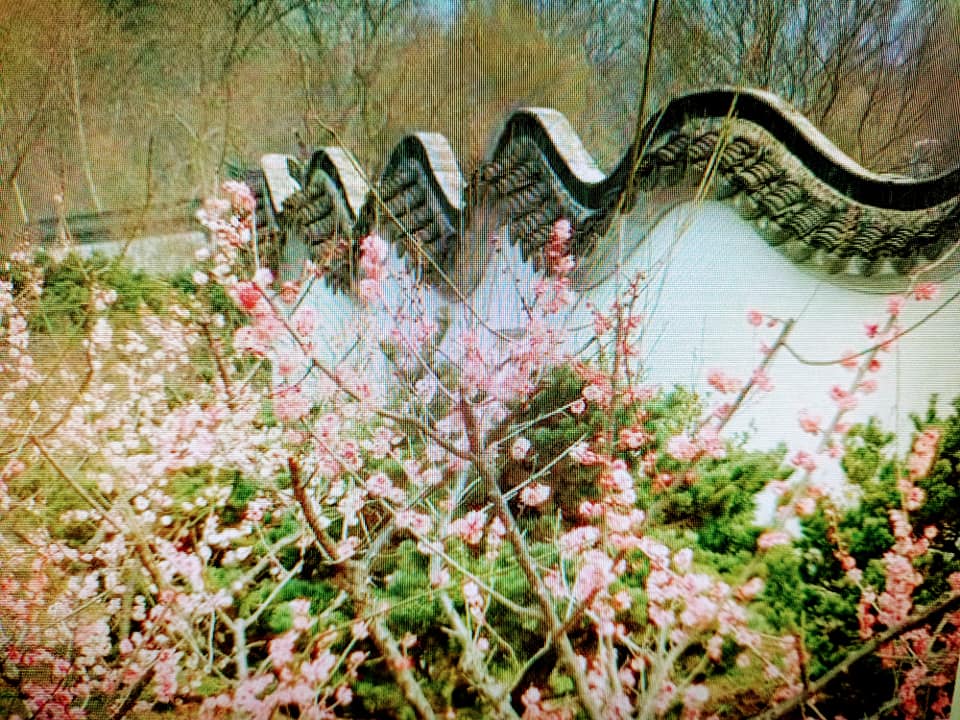 遙想中山陵的密碼