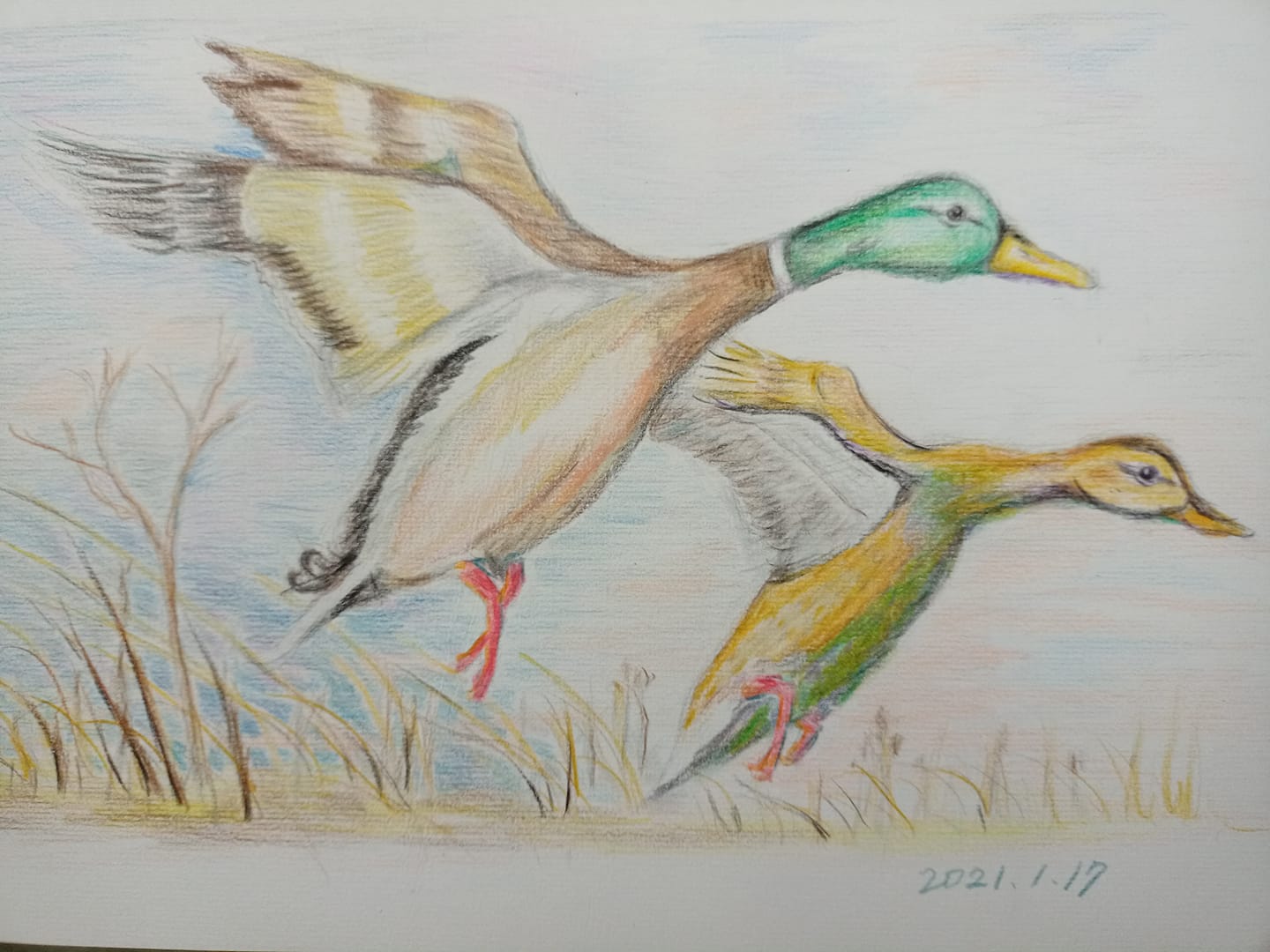 蘇揆應讀“鵝詩”