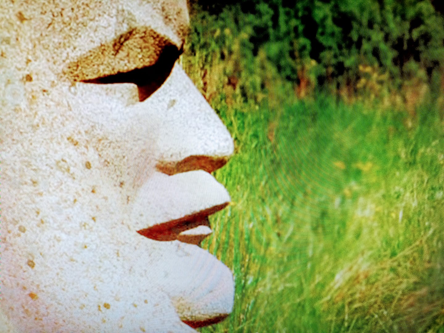 列寧紀念碑世界文化遺產