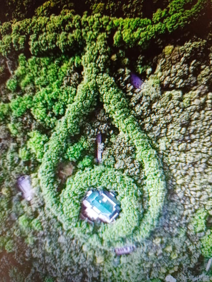 台北美齡樓蒙難