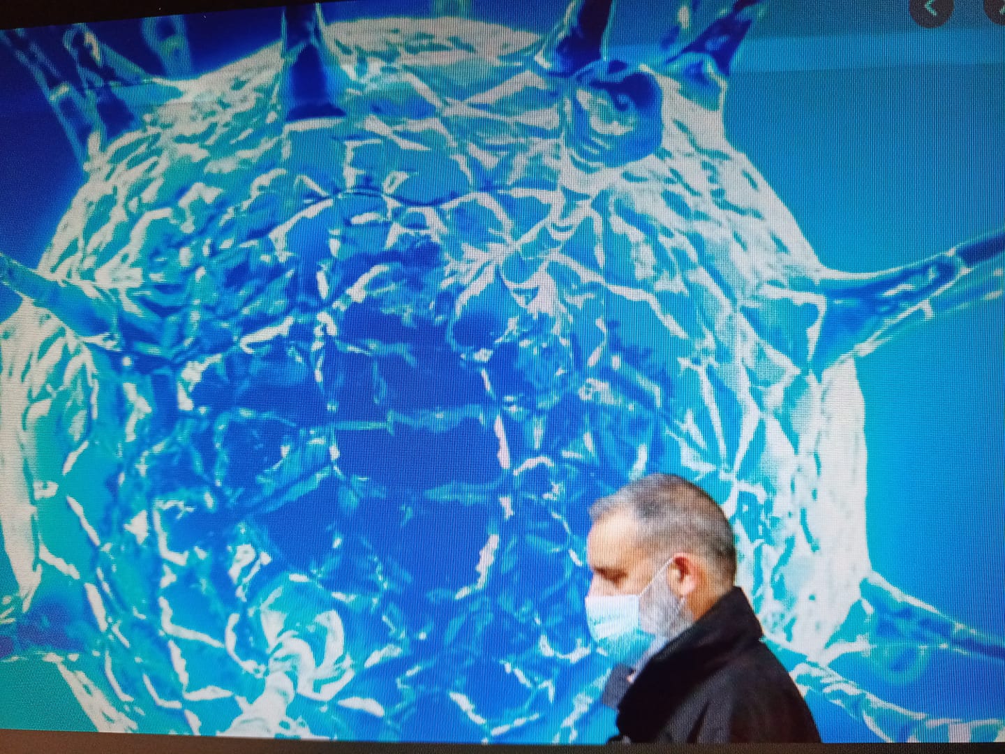 病毒來自實驗室