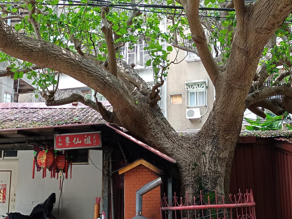 宮廟都閉門謝客