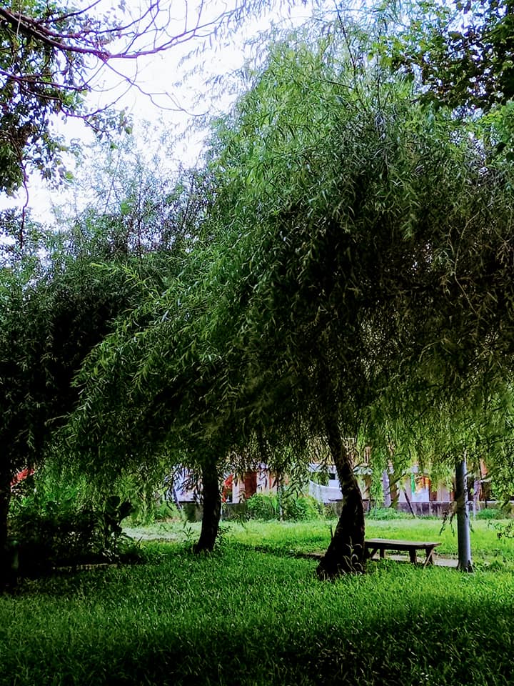 “靜思走廊”封路