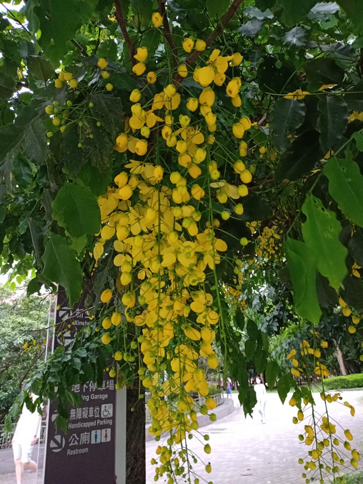 一場美麗的錯誤