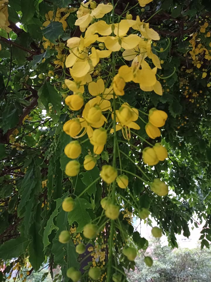 一場美麗的錯誤