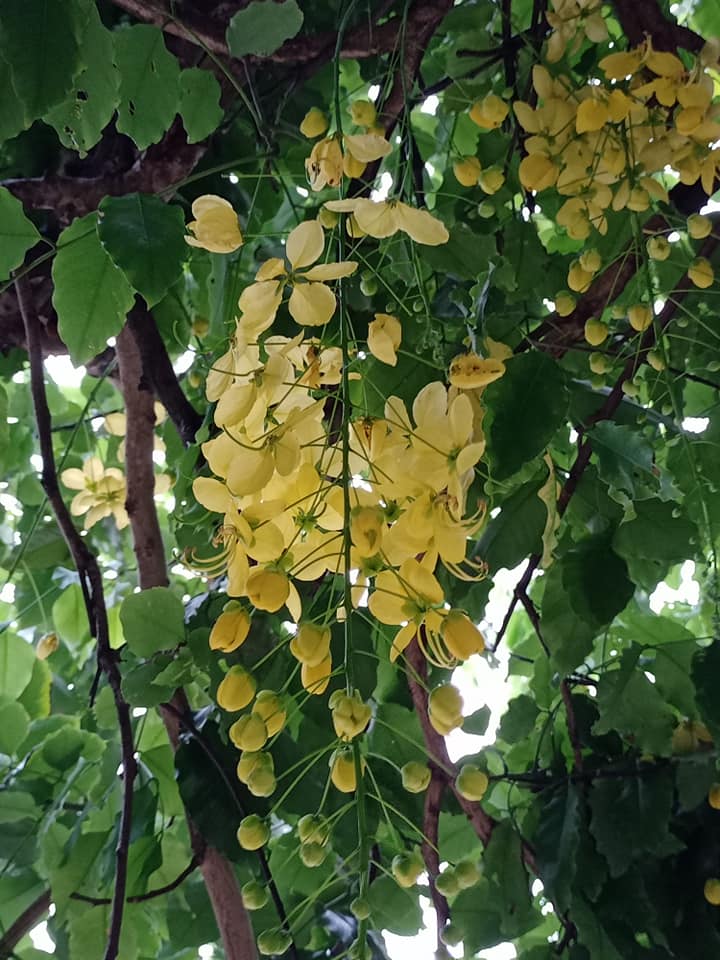 一場美麗的錯誤