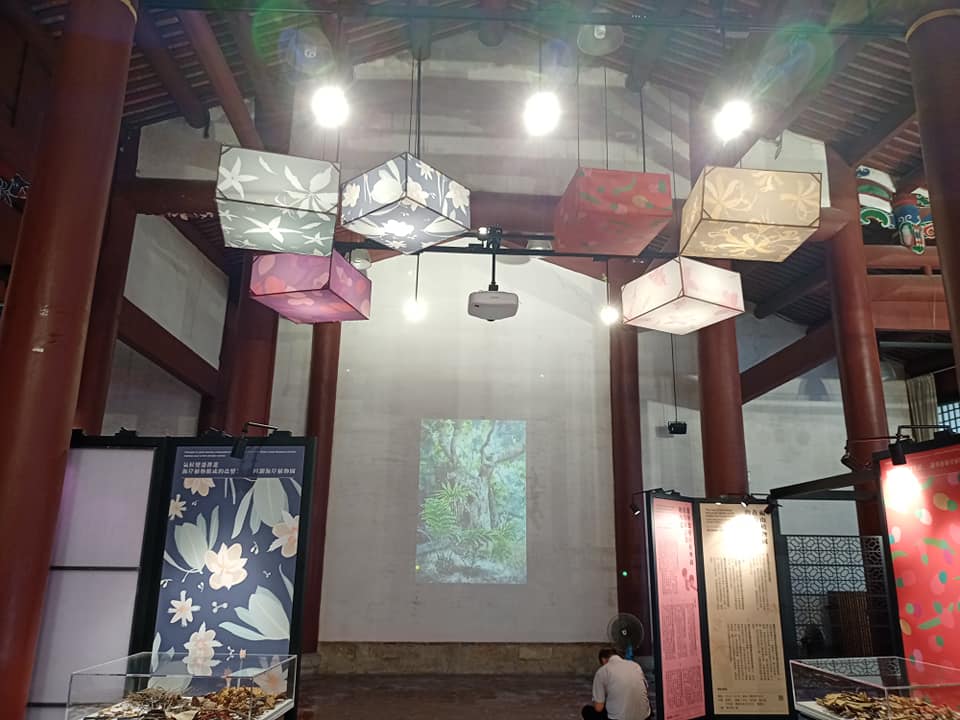 隱藏在植物園內的