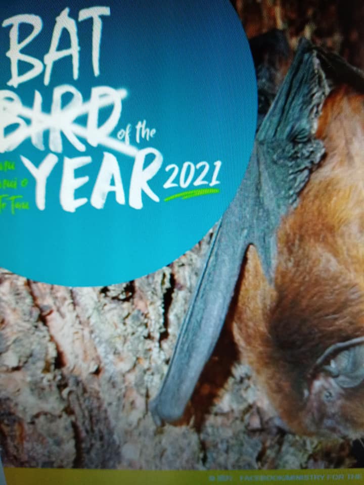 獲選“2021年鳥類”