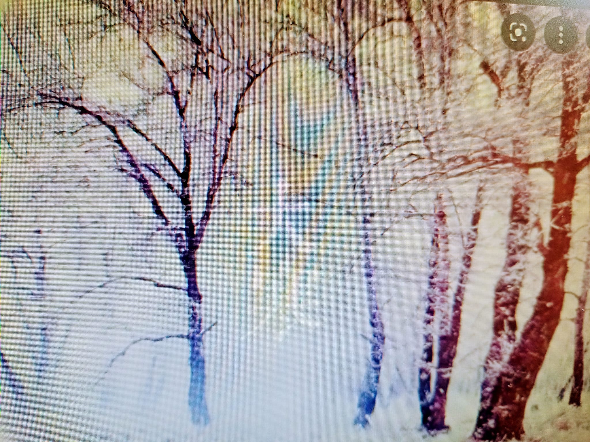 大寒不寒，人馬不安