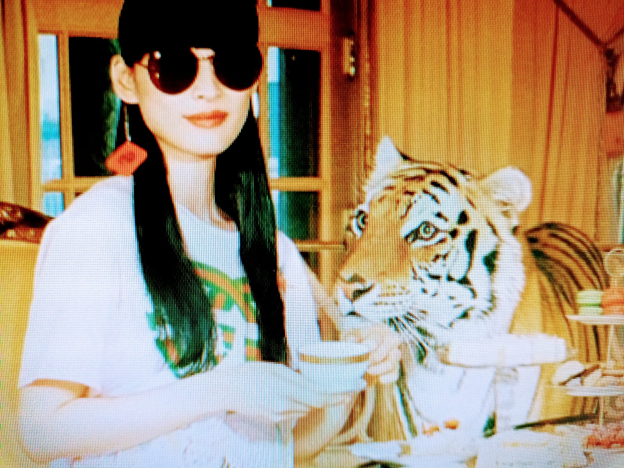 “Gucci 虎”呼嘯