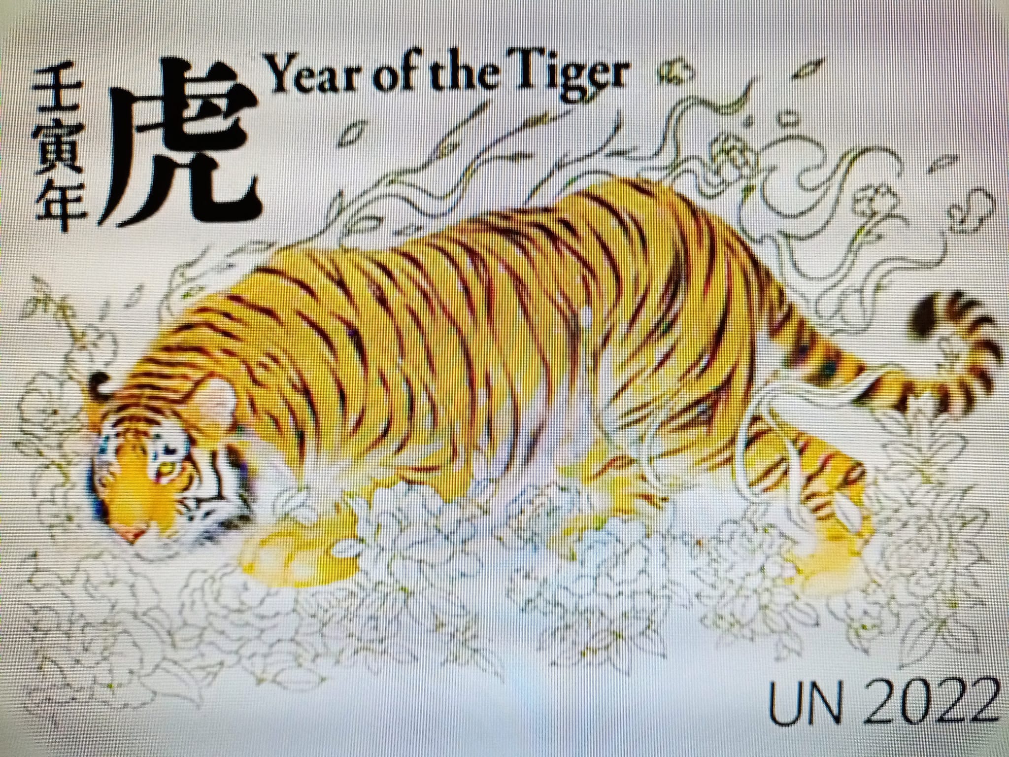 老虎嗅薔薇聯合國虎年郵票