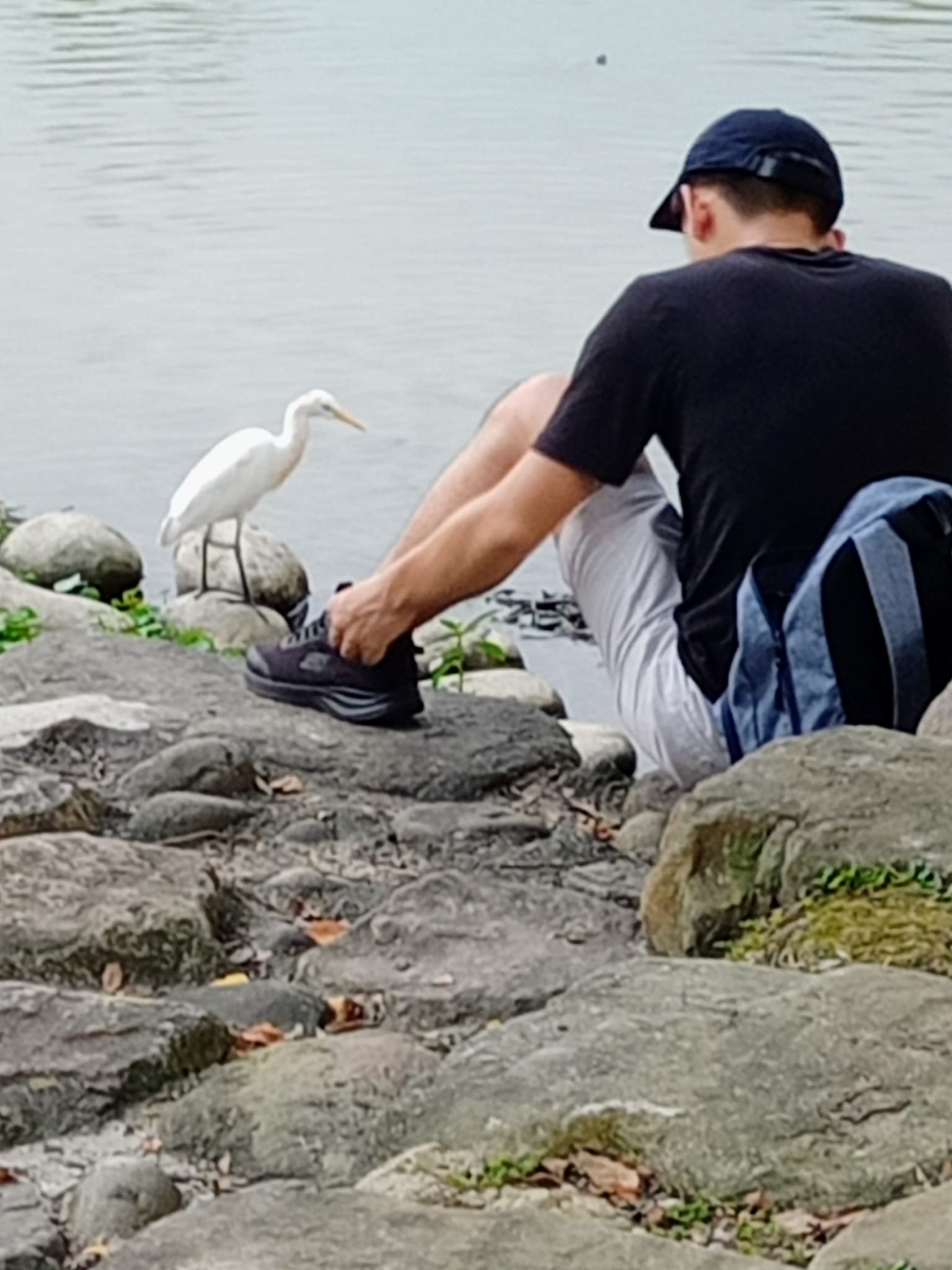 我們是一對Nobody