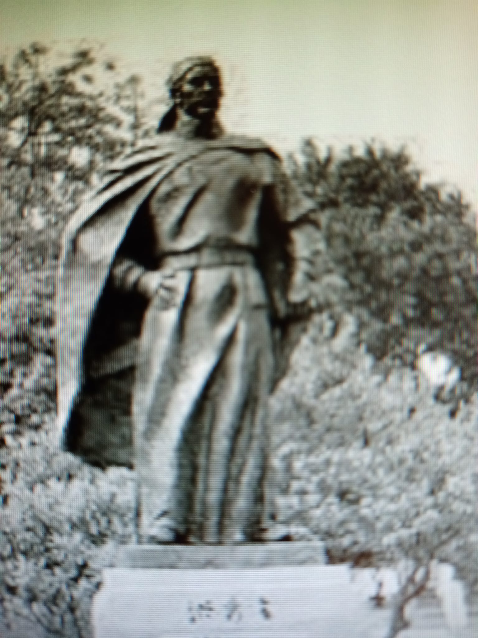 風華少年氣吞萬里