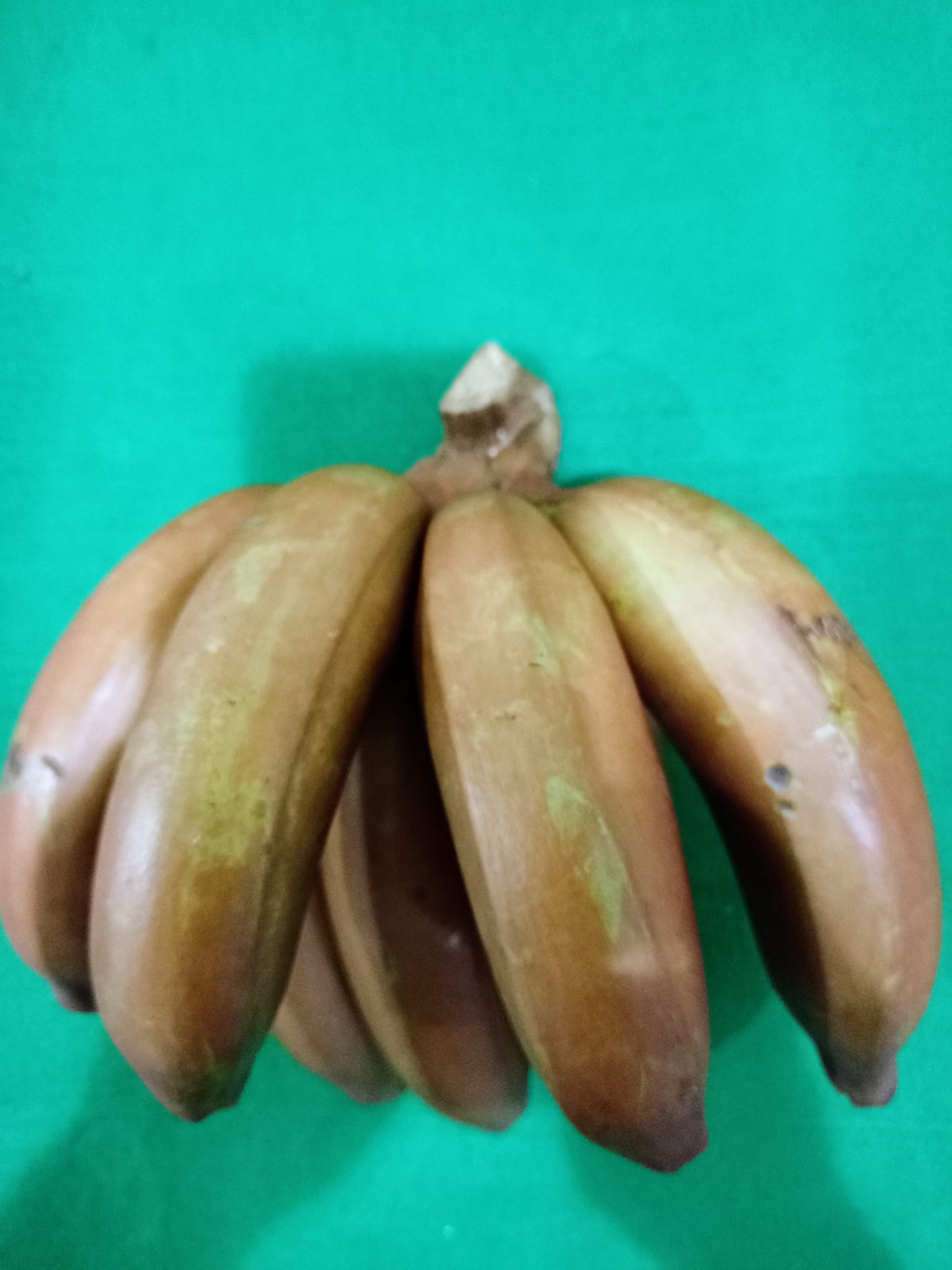 選舉激情後嚐鮮紅皮蕉