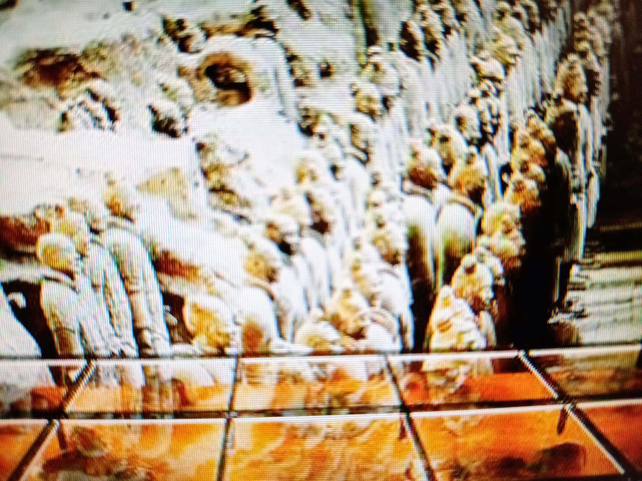 不朽的中國戰士