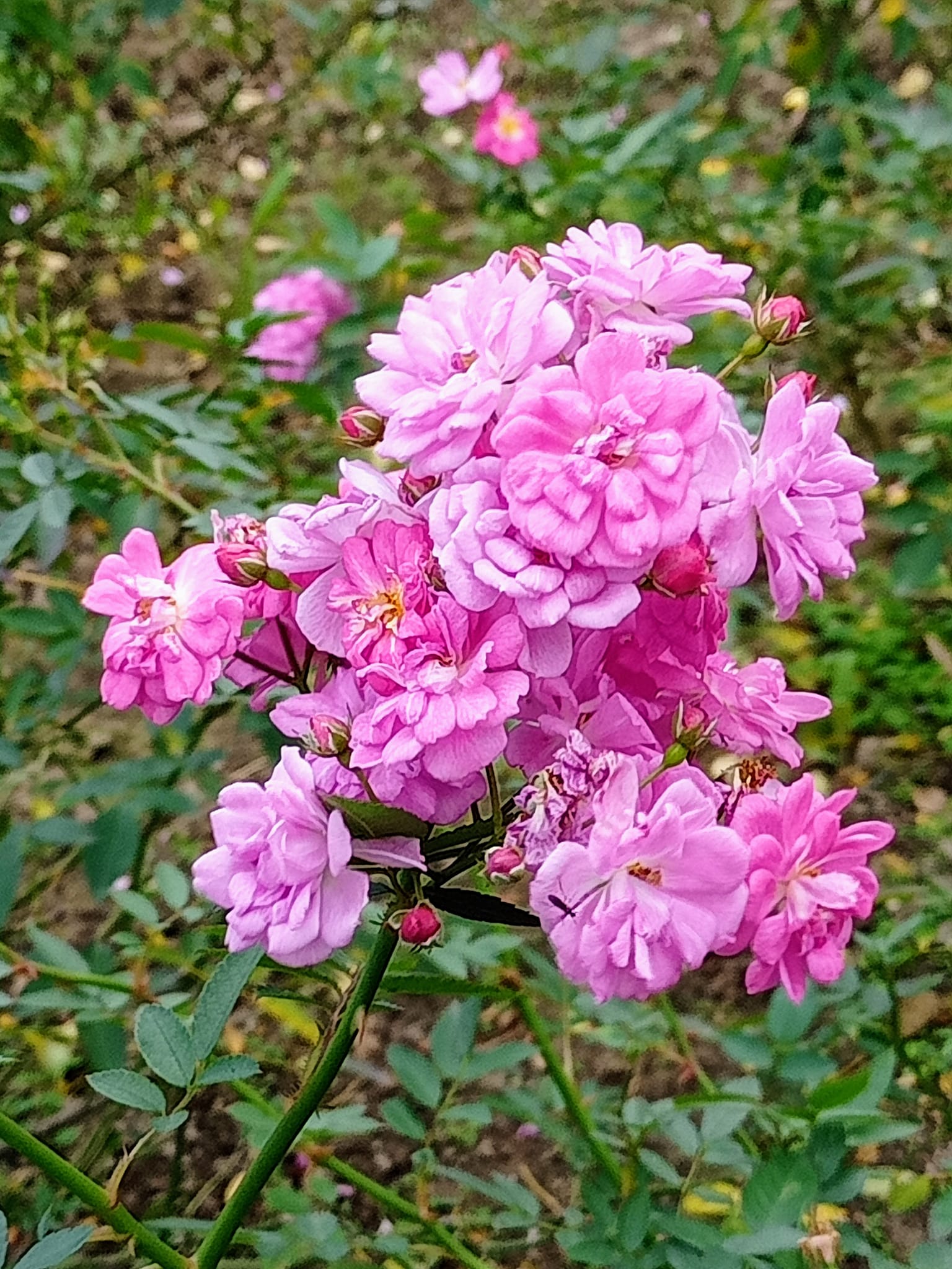 遇見“愛與和平”