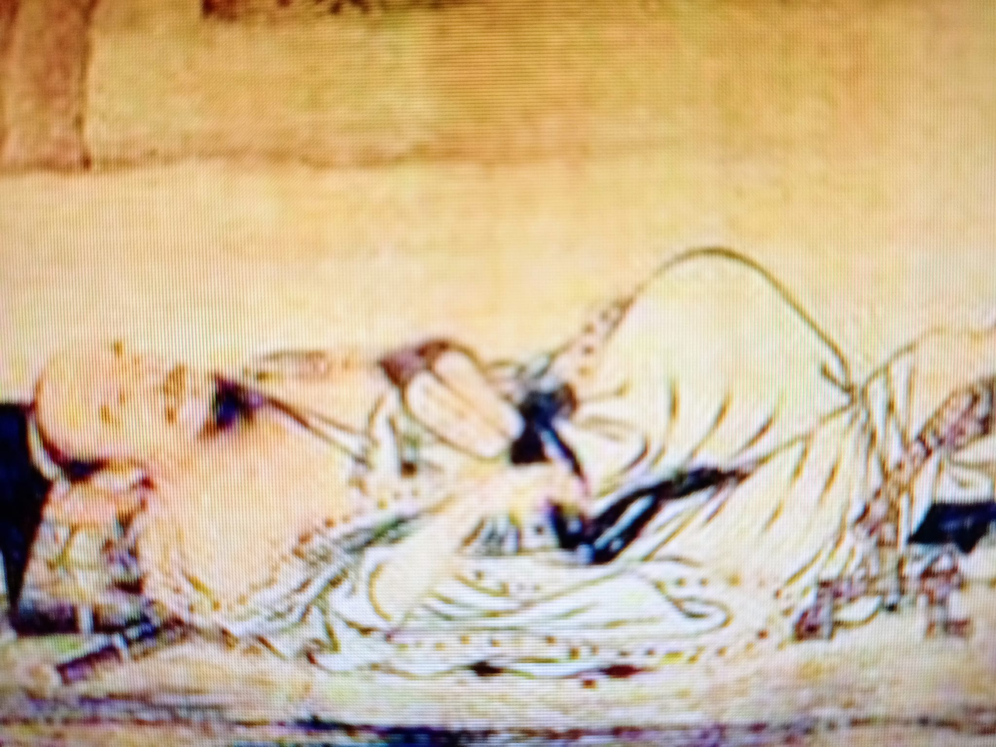 去四薄、去四陰