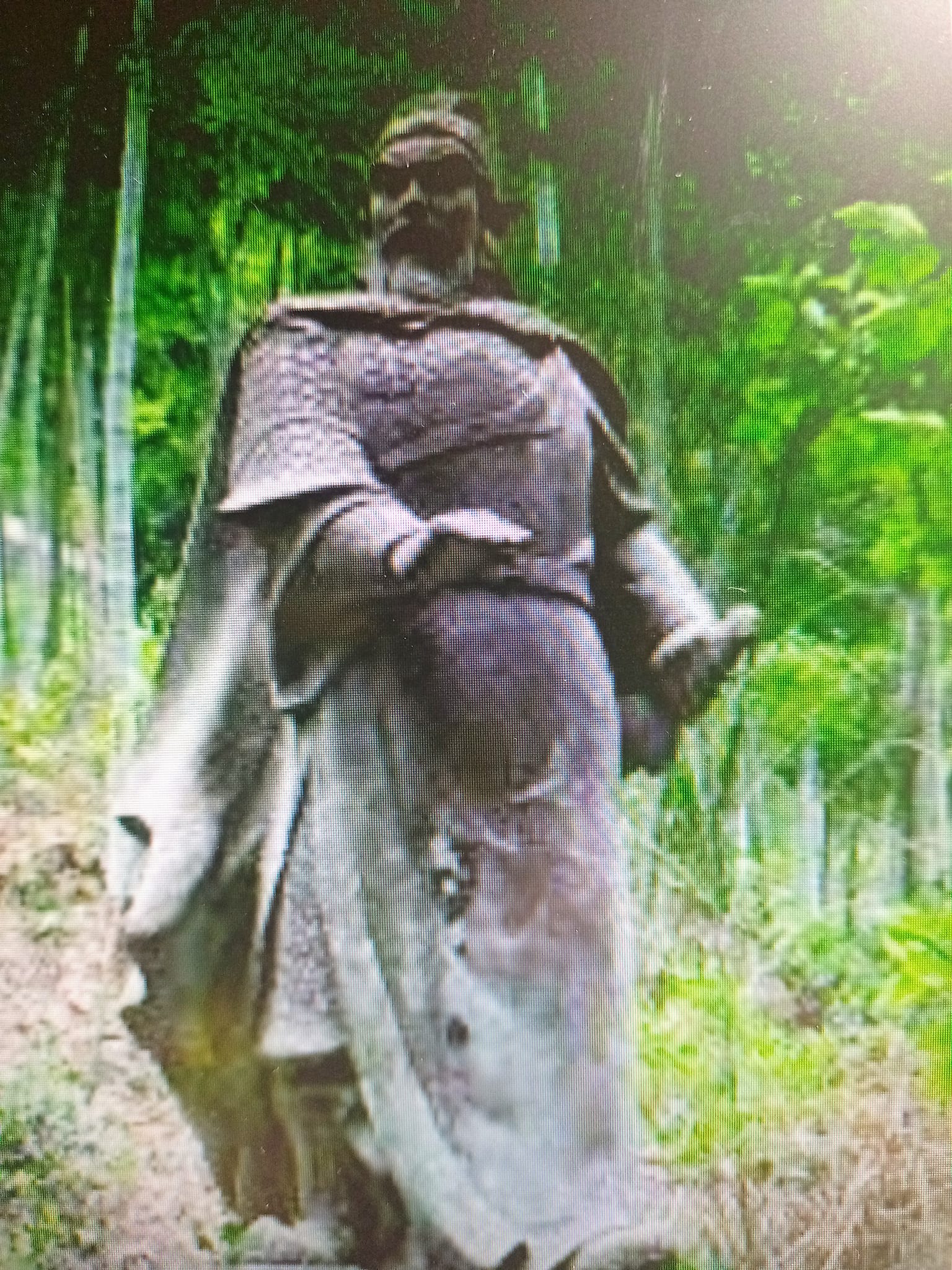 黃巢為菊花抱屈