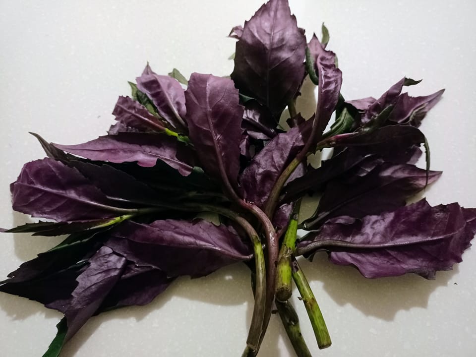 紅鳳菜，琉球王朝御膳之一