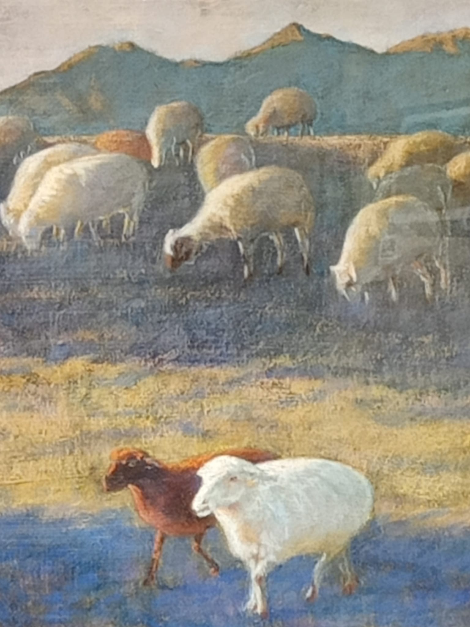 吉羊（祥）有魚（餘