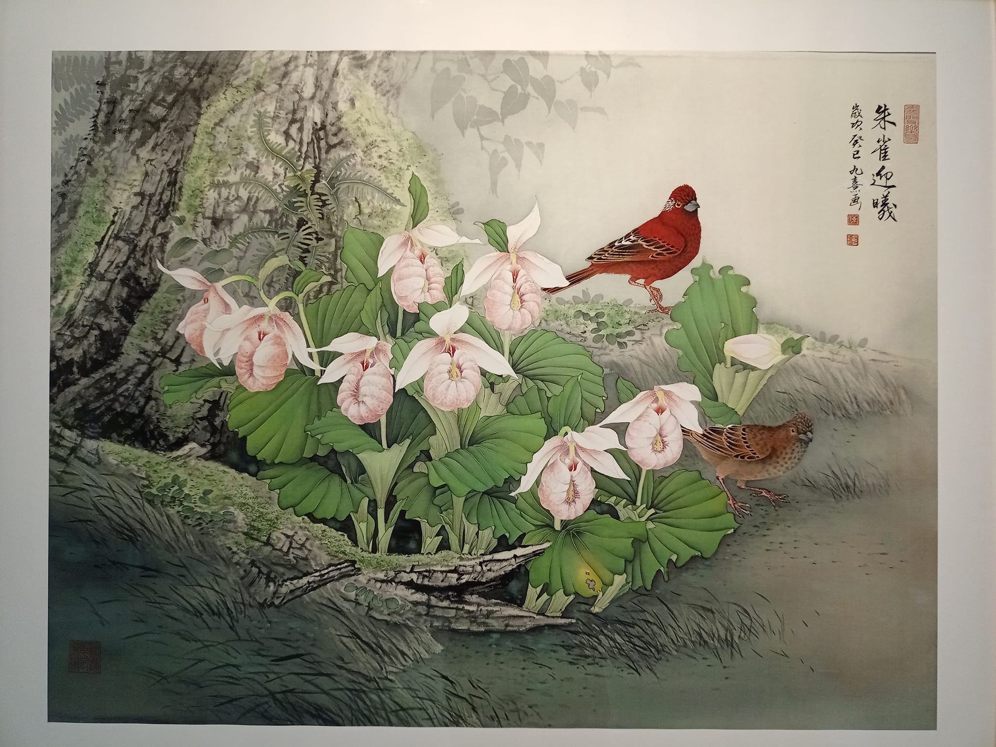 迎曦破朝霞喜新情三部曲