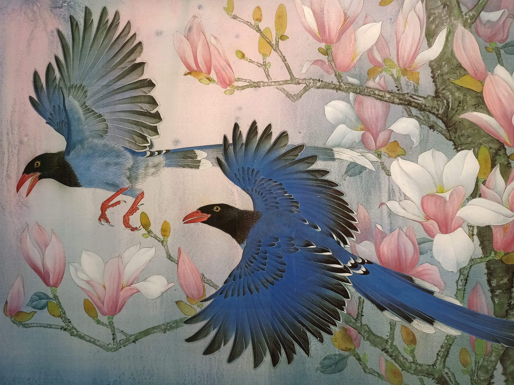 迎曦破朝霞喜新情三部曲